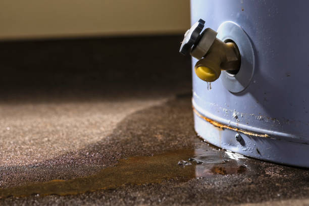 Best Sewage cleanup and water damage restoration  in De Leon, TX