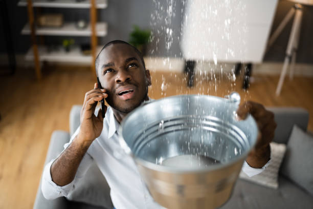 Best Local water damage restoration  in De Leon, TX