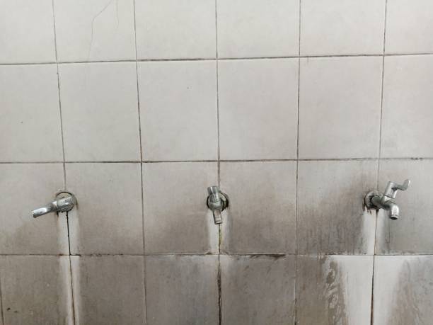 Best 24-hour water damage restoration  in De Leon, TX