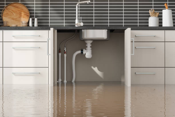 Best Flood restoration services  in De Leon, TX